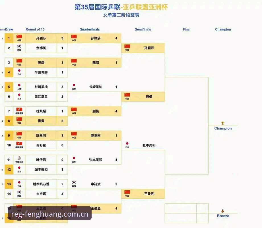 凤凰体育数据包获取推荐 中国足协第三批禁足名单深度解析:凤凰体育平台用户观赛指南