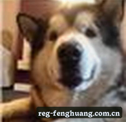 陈婷
